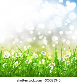 Nature Background with Spring Grass and Daisies