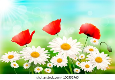 Nature background with summer flowers Vector illustration.