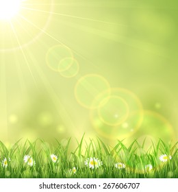 Nature background with the summer Sun and flowers in the grass, illustration.