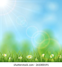 Nature background with Sun and flowers in the grass, illustration.