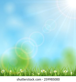 Nature background with Sun, grass and flowers, illustration.