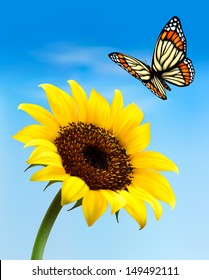 Nature background with sunflower and butterfly. Vector illustration. 
