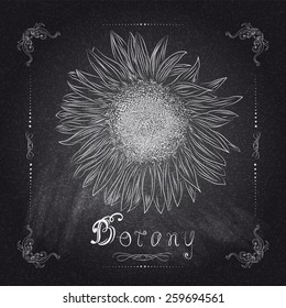 Nature background sunflower with your text vector illustration eps 10