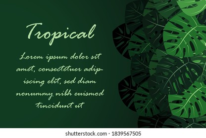 Nature background template with monstera leaves