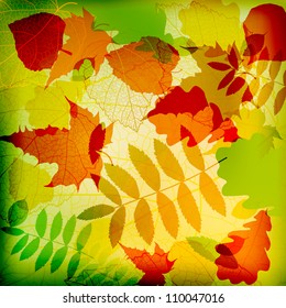 Nature background with text for background, wallpaper, retro backdrop, frame, emblem, label, web, pattern, print, image, illustration, paint, design element, ornament, card, art texture vector eps 10