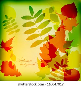 Nature background with text for background, wallpaper, retro backdrop, frame, emblem, label, web, pattern, print, image, illustration, paint, design element, ornament, card, art texture vector eps 10
