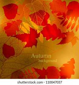 Nature background with text for background, wallpaper, retro backdrop, frame, emblem, label, web, pattern, print, image, illustration, paint, design element, ornament, card, art texture vector eps 10
