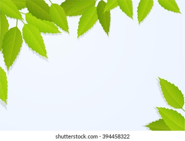 Nature background with tree leaves