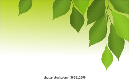 Nature background with tree leaves