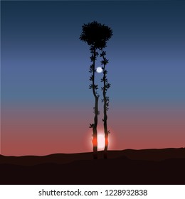 Nature background of two trees,sun and moon. Colorful sunset in wild valley.