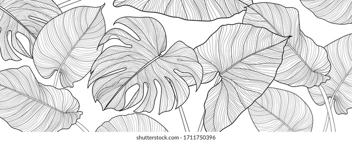 Nature background vector. Black and white floral pattern, Split-leaf Philodendron plant with monstera plant line arts, Vector illustration.