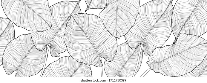 Nature background vector. Black and white floral pattern, Split-leaf Philodendron plant with monstera plant line arts, Vector illustration.