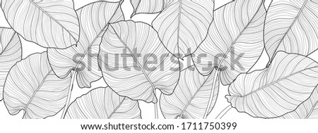 Similar – Image, Stock Photo Tropical monstera and palm leaves on a light pink background