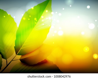 Nature Background, Vector Illustration.