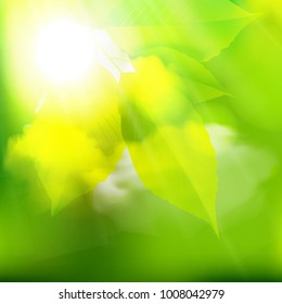 Nature Background, Vector Illustration.