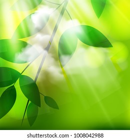 Nature Background, Vector Illustration.