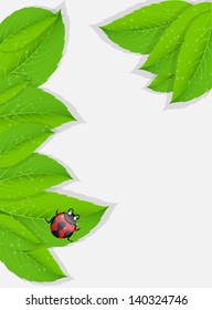 nature background. Vector illustration