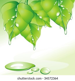 Nature background. (vector illustration)