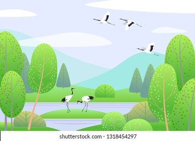 Nature Background Wetland Scene With Flying And Walking  Japanese Cranes. Spring Landscape With Mountains, Green Trees And Birds.  Vector Flat Illustration. 