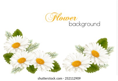Nature background with white beautiful flowers. Vector illustration 