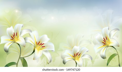 Nature background with white lilies. Vector.