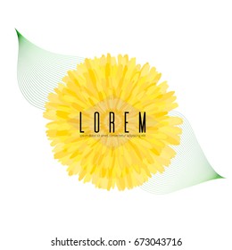 Nature background with yellow field flower. Vector floral background.