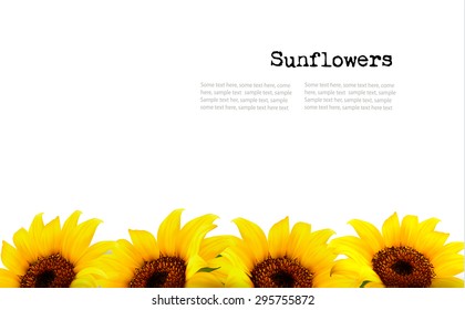 Nature Background With Yellow Sunflowers. Vector