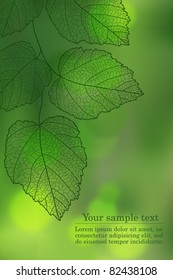 Nature background with your text (vector eps 10)