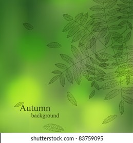 Nature background with your text (vector eps 10)