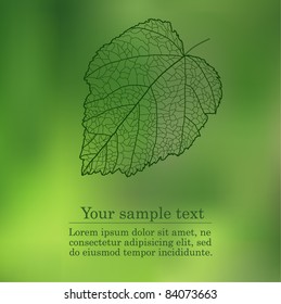 Nature background with your text (vector eps 10)