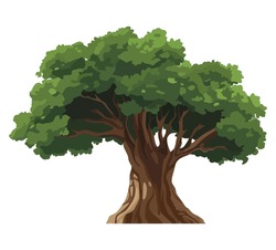 Nature Big Tree Vector Over White