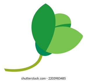 Nature biodiversity, floral decoration or green foliage. Isolated leaves on stem, flower or botany adornment. Growing plants and gardening, houseplant greenery. Vector in flat style illustration