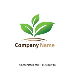 nature biology organic abstract leaf vector icon logo design template