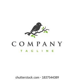 Nature bird logo design vector