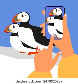 Natur Blogging Konzept. Hände halten Smartphone und machen ein Foto von PUFFINS. Nordfauna und -flora. Vektorillustration im flachen Stil