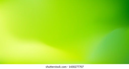 Nature blurred background. Abstract gradient yellow green backdrop. Vector illustration. Ecology concept for your graphic design, banner, poster, wallpapers