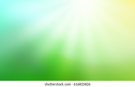 Nature blurred gradient background with rays of sunlight. Abstract green backdrop. Vector illustration. Ecology concept for your graphic design, banner or poster