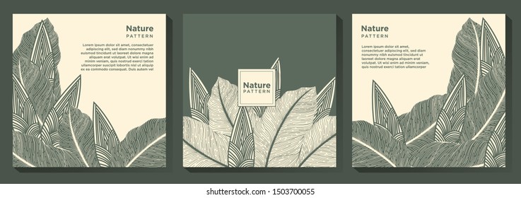 Nature Botanical Background Template Design