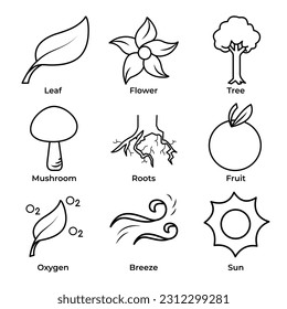 Nature botanical themed vector icons set collection isolated on square background. Simple flat outlined cartoon icon drawing with nature botanical theme from leaf, flower, tree, fungi, roots, sun.