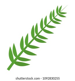 nature branch plant with leaves style