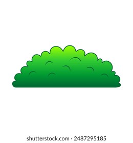 Nature bush plant, garden plant, park decoration plant