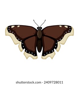 nature butterfly cartoon. blue insect, wing animal, spring fly nature butterfly sign. isolated symbol vector illustration