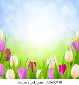 Nature Card With Tulips With Gradient Mesh, Vector Illustration