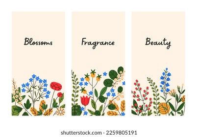 Nature cards with spring flowers. Floral botanical background designs set with summer gentle herbs, meadow blooming plants, beautiful field flora for vertical stories. Flat vector illustrations