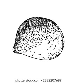 mano de castaño natural dibujada. castaño de fruta, temporada de comida, boceto vectorial de castaño de cáscara de nuez. ilustración negra aislada