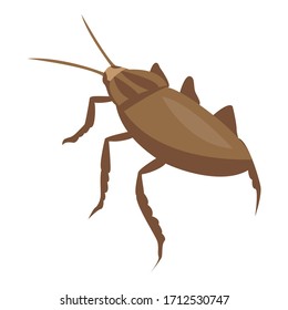 Nature cockroach icon. Isometric of nature cockroach vector icon for web design isolated on white background