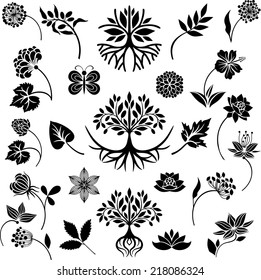 Nature collection