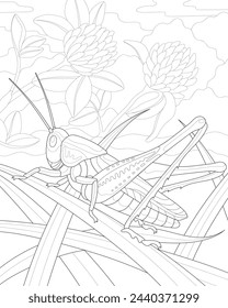 Nature. Coloring book for adults. A grasshopper sits on the grass. Clover flowers.