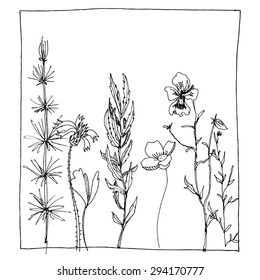 nature composition with ink drawing herbs and flowers in the square, doodle wild plants, monochrome black  floral card, hand drawn vector illustration