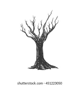 Nature concept represented by Dry tree icon. Isolated and flat illustration 